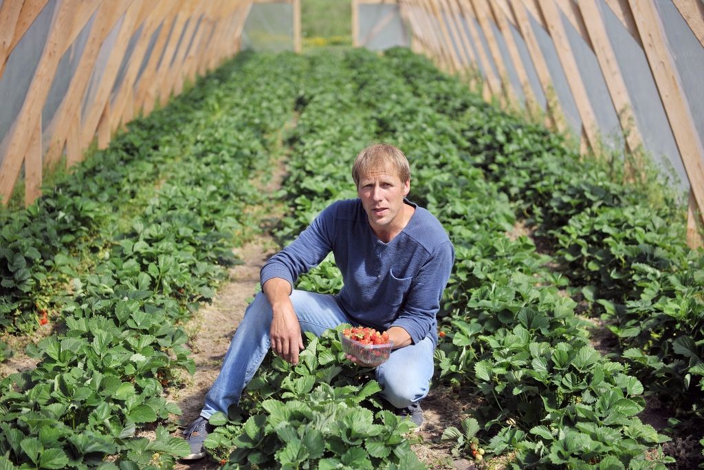 Kad bioloģiski audzēta oga būs tabletes vietā