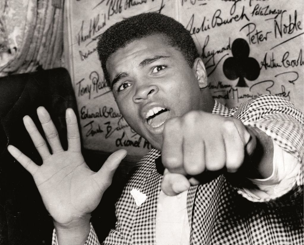 Lidoja kā tauriņš, dzēla kā bite