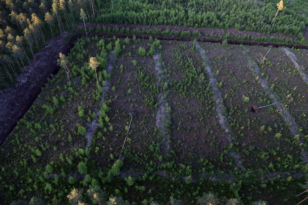 Klimata pārmaiņu žņauga ēna pār Latviju