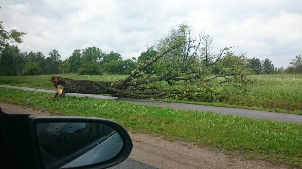 Elektroapgāde joprojām traucēta ap 20 000 saimniecību; vējš turpina radīt jaunus bojājumus