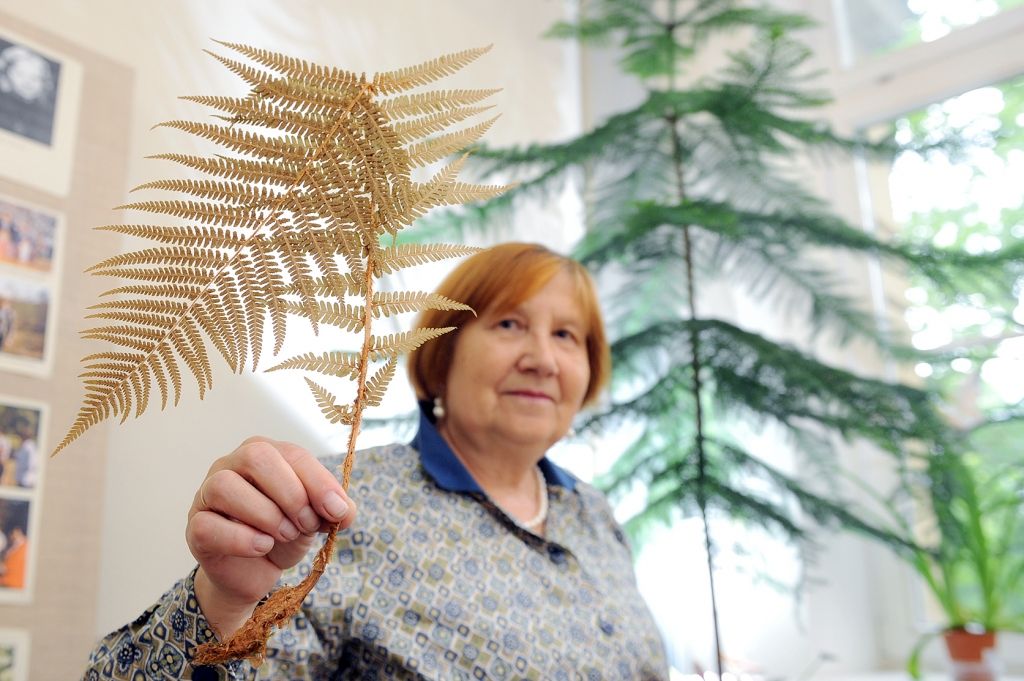 Augu skaistums starp papīra lapām 