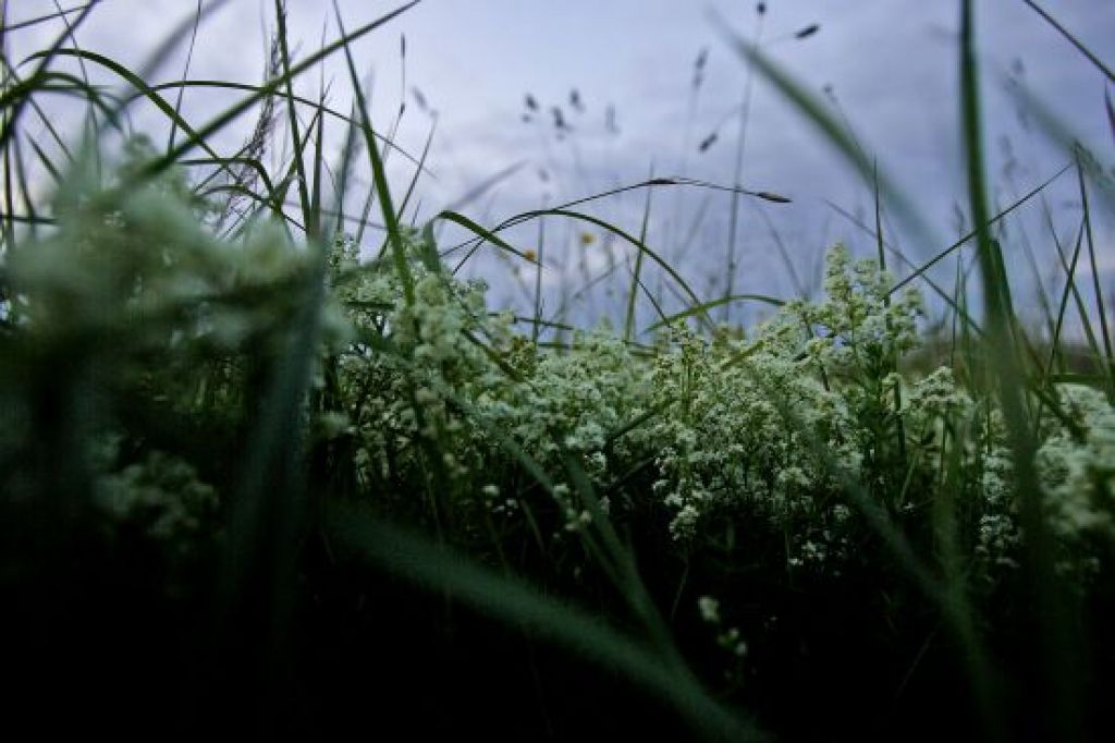 Lietus svētkiem tikai kā piedeva