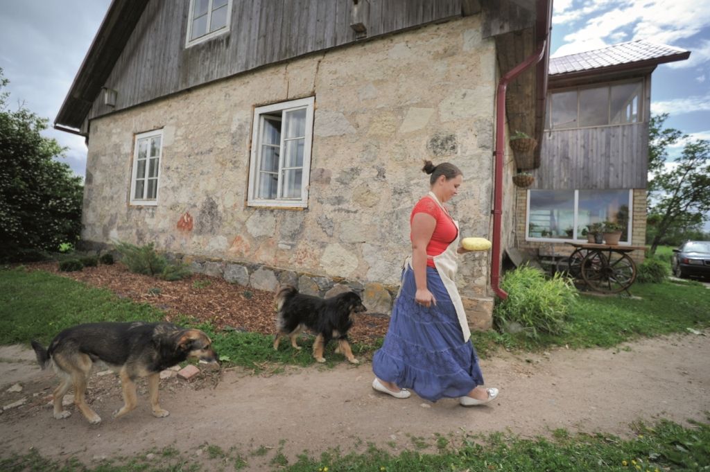 Vislegālākais Jāņu siers