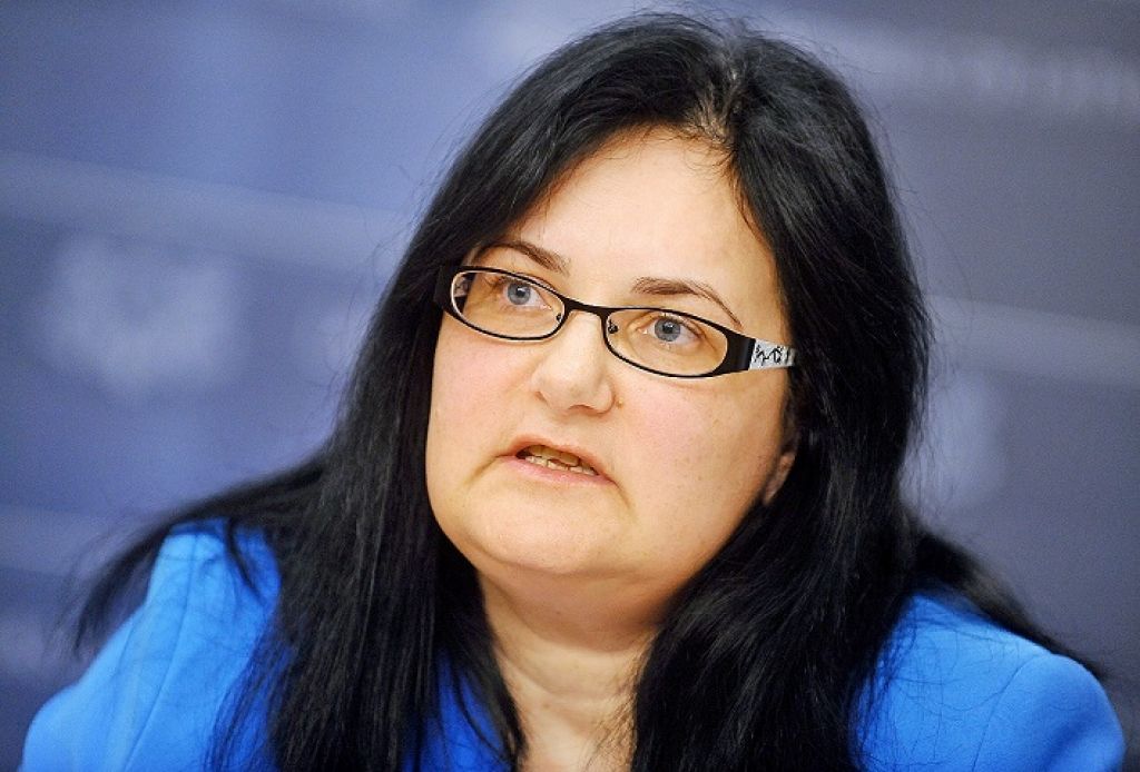 Ieņēmumu dienests bez Pētersones