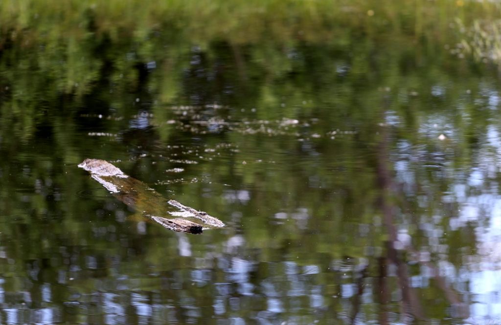 Otrdien Zilupes ūdenskrātuvē noslīcis 16 gadus vecs jaunietis