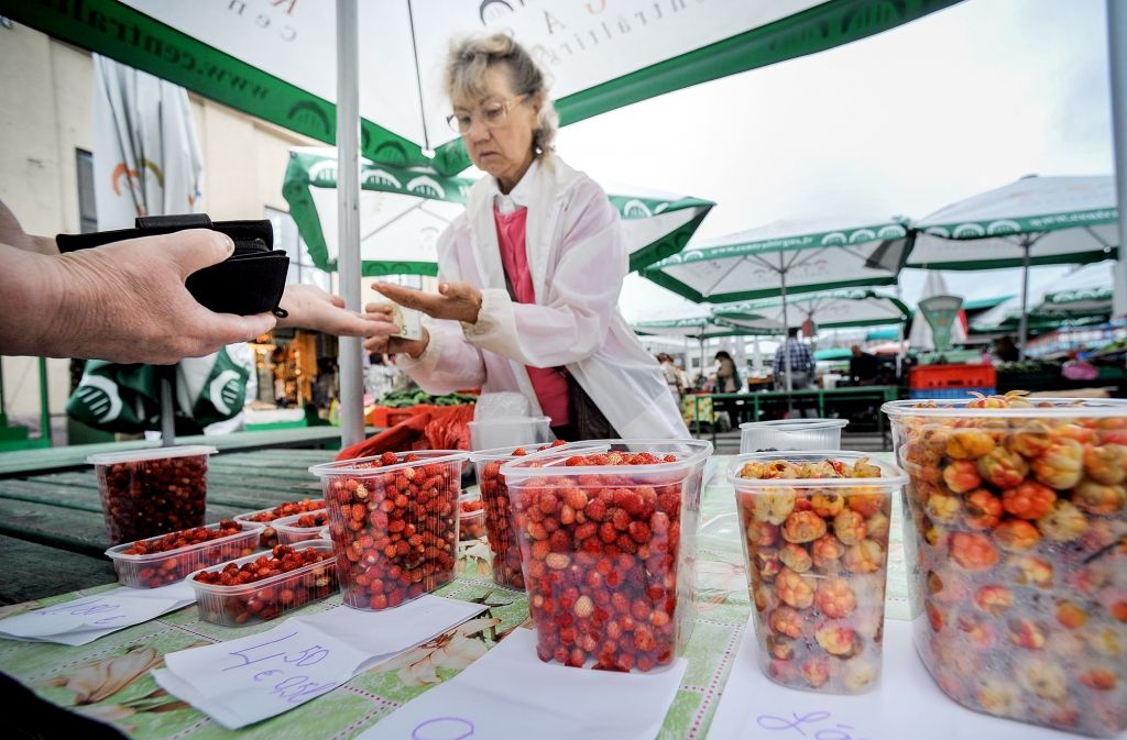 Kad meža ogām veselības cena