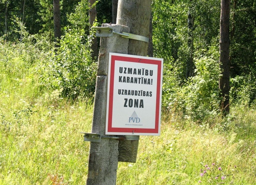 ĀCM uzliesmojis mājas cūkām Igaunijā, Lietuvā un Polijā; bažas par situāciju Latvijā