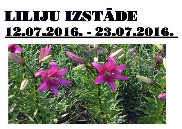 Aizputē būs skatāma liliju izstāde