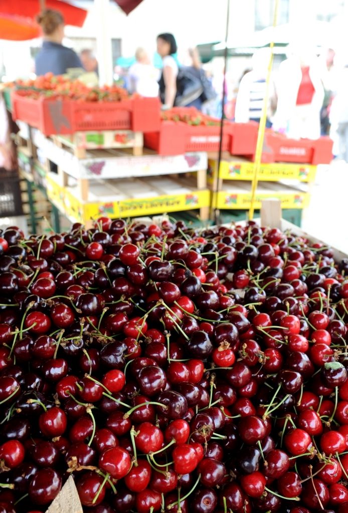 Poļu ķirši vietējos brunčos