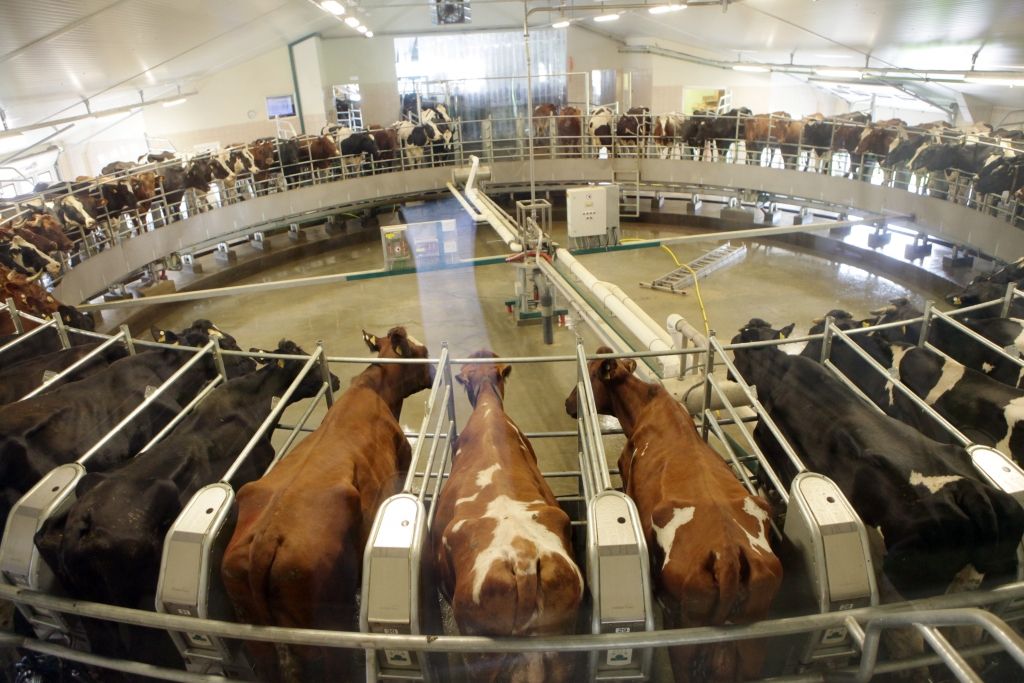 Piena iepirkuma cenu gūstā