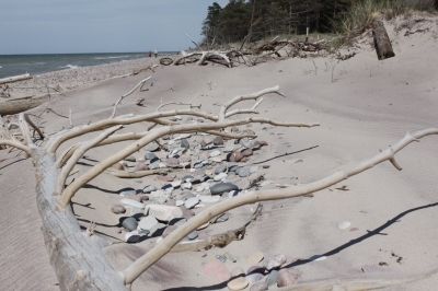 Liepājas pusē visnetīrākā pludmale ir Nidas piekrastē