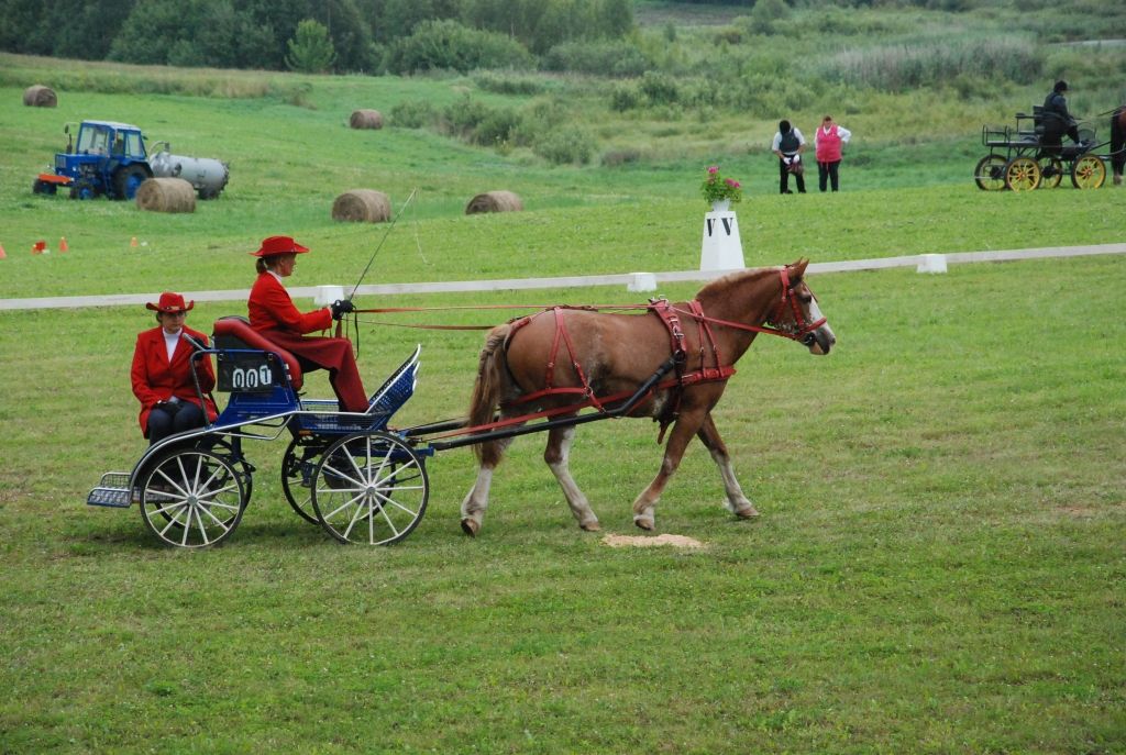 FOTO: Kalvenē piekto reizi sarīko pajūgu braukšanas sacensības