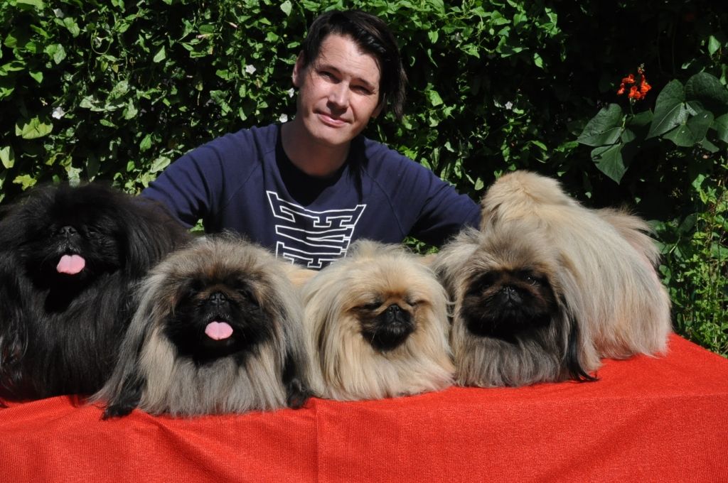 Ingus un septiņi pekinieši