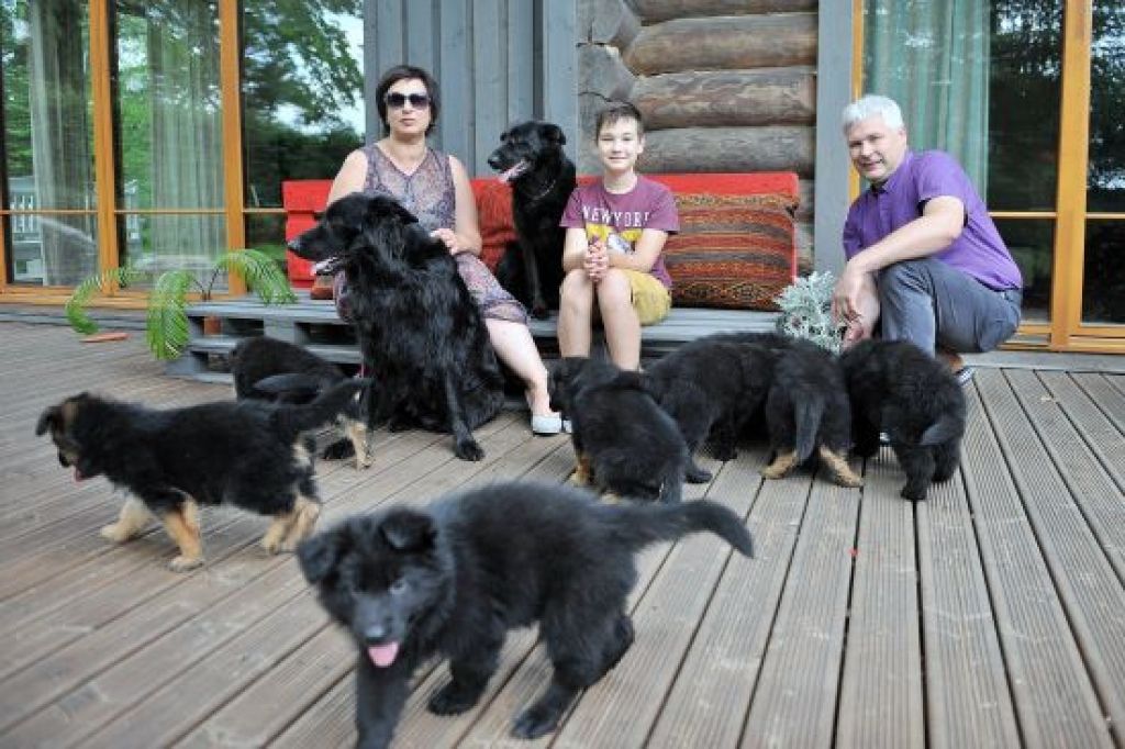 Visu cieņu melnajiem, garspalvainajiem