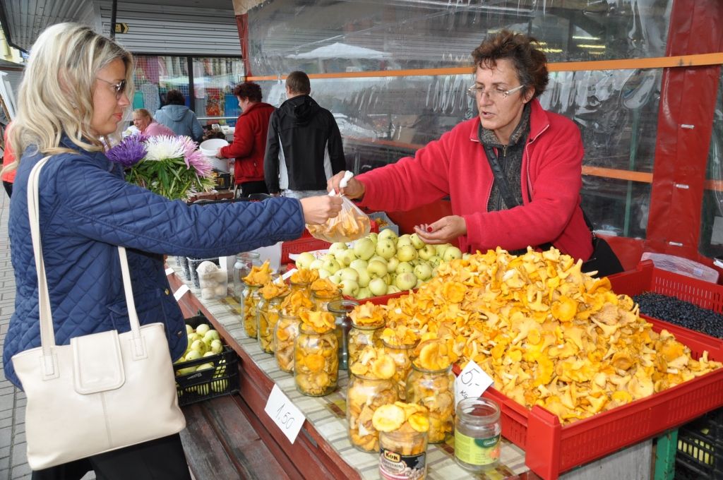 Sēņotāji no lietus nebaidās; priecājas par ražu