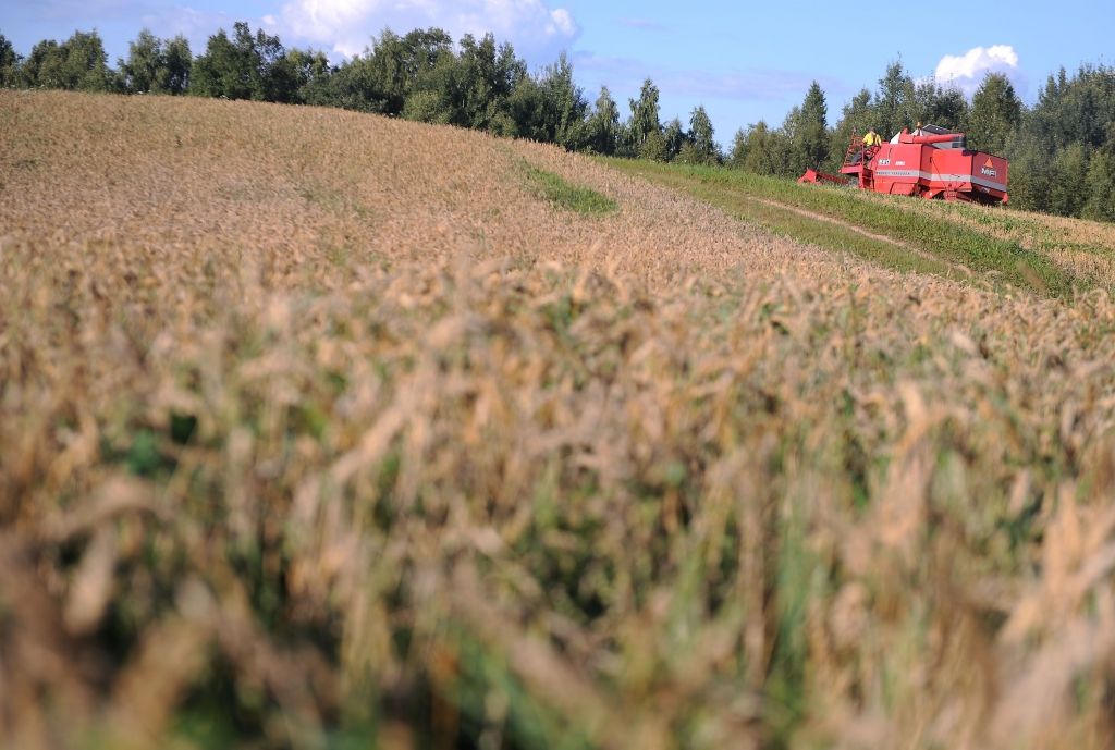 Graudkopībā situācija ir traģiska