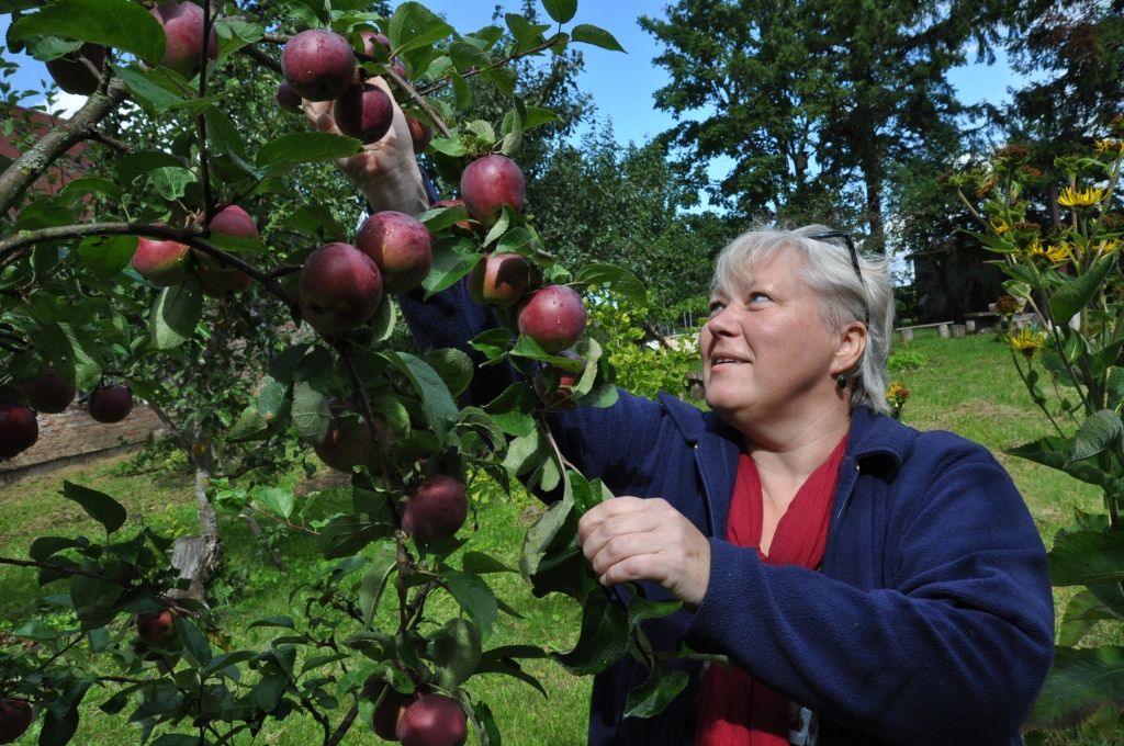 Dārznieka Ceriņa veikumu turpina meita