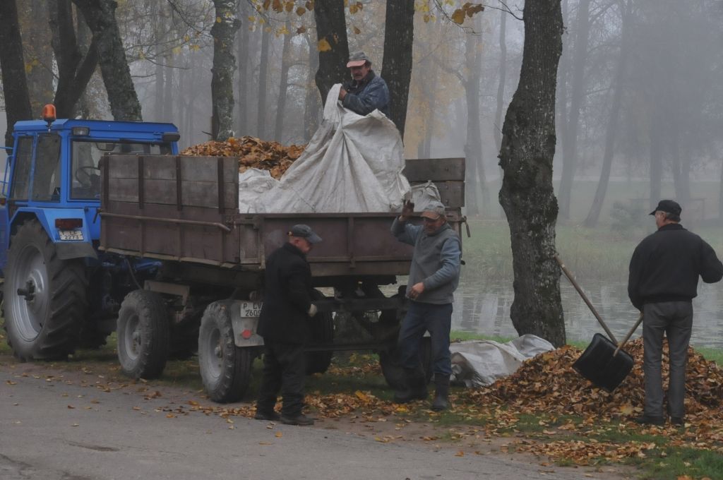 Rudens lapas – mēslojumam un biogāzei