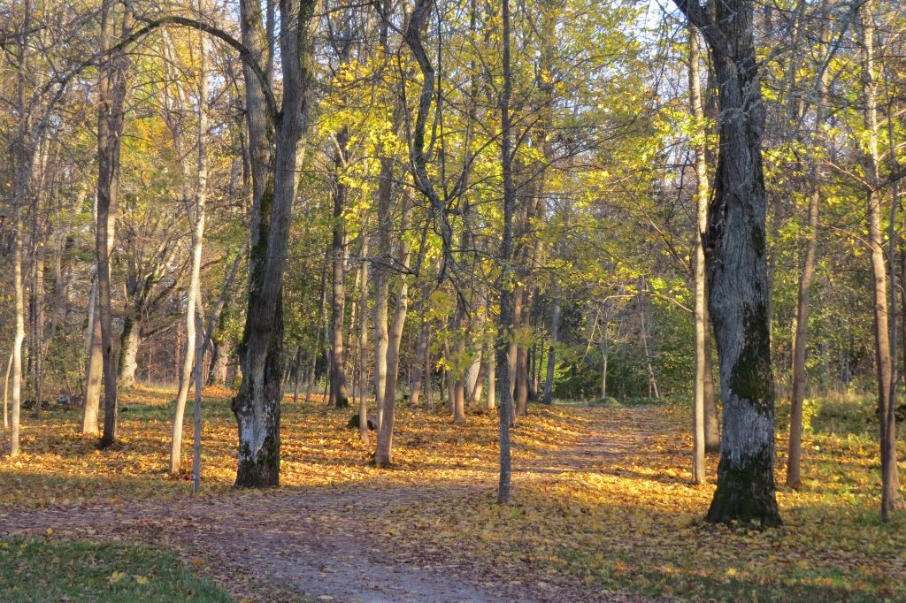 Plāno labiekārtot Pāvilostas, Vērgales un Ziemupes parkus