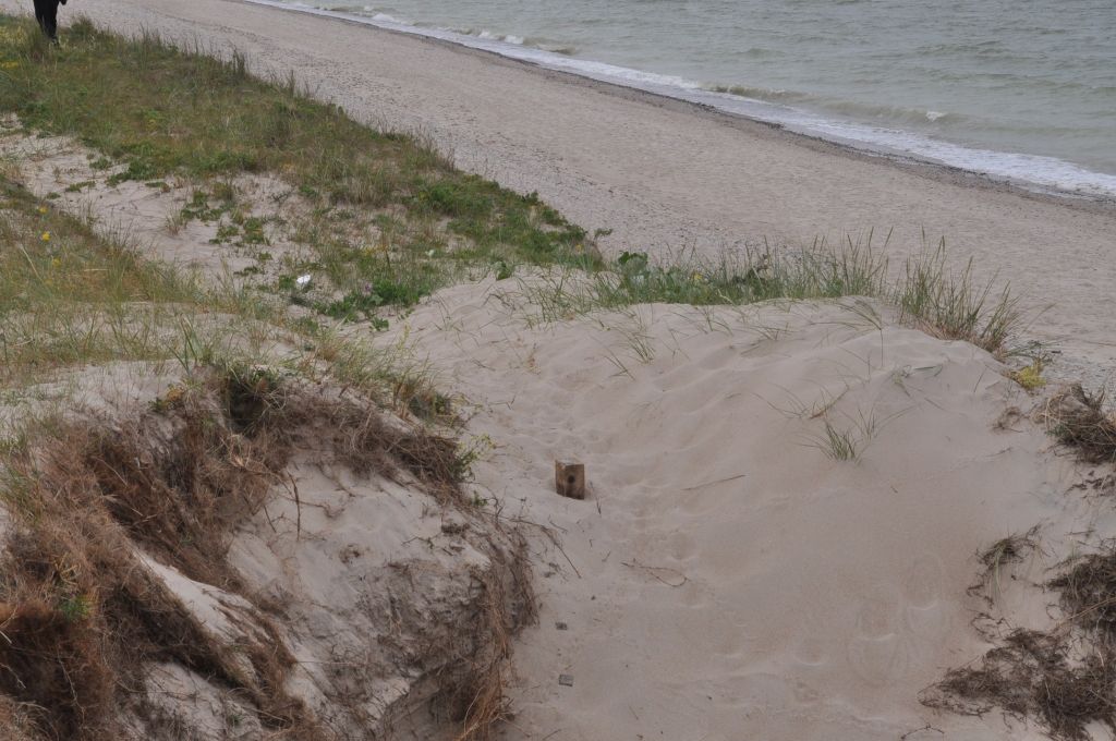 Zemes īpašnieks Šķēdes ciemā nodara pamatīgu postu jūras aizsargjoslai