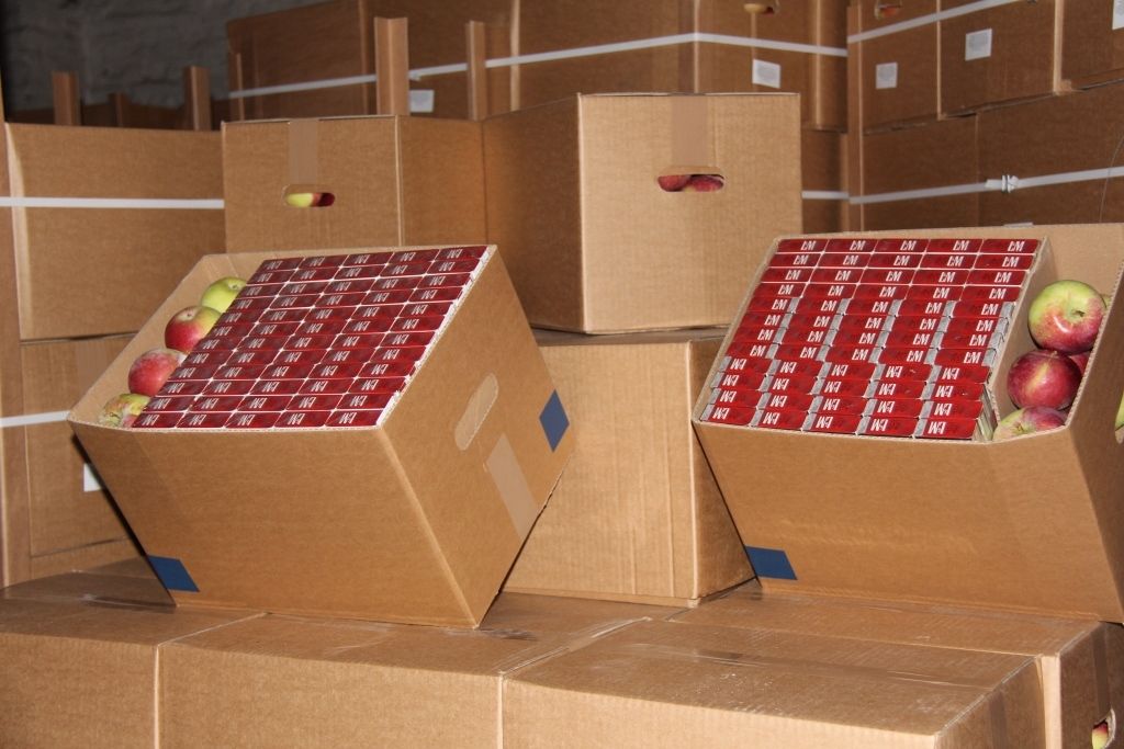 Aiztur personu grupu par 2,6 miljonu cigarešu kontrabandu