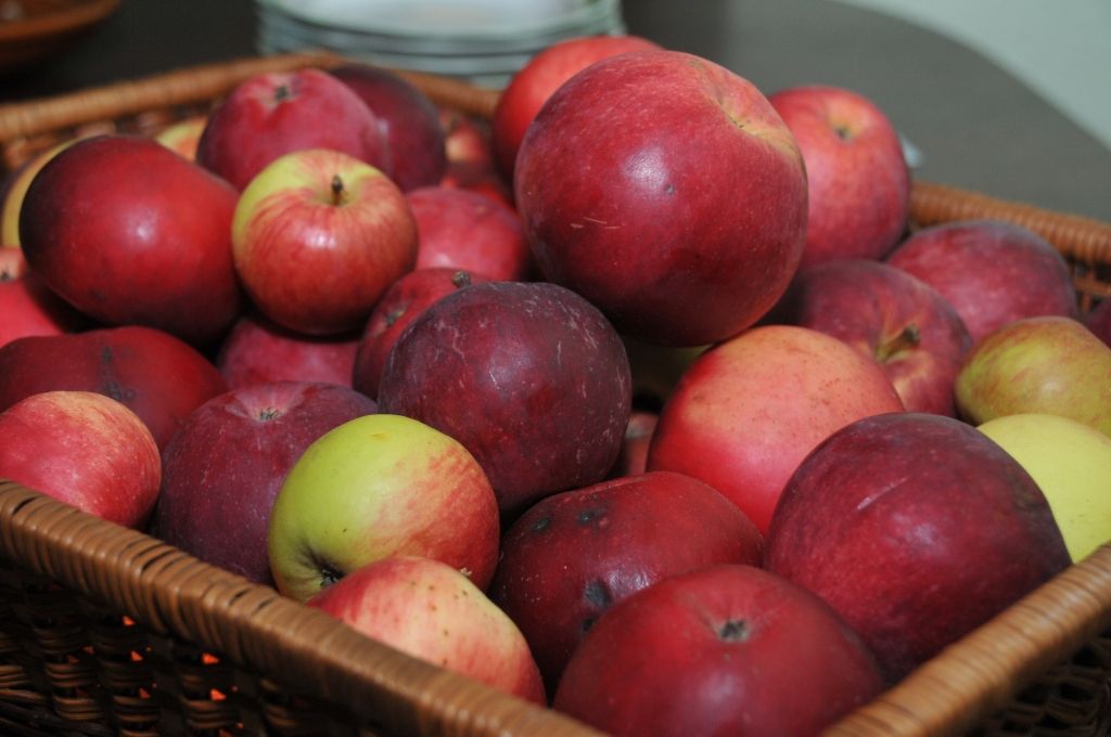 Nedēļas nogalē Vaiņodē notiks krāšņi rudens pasākumi