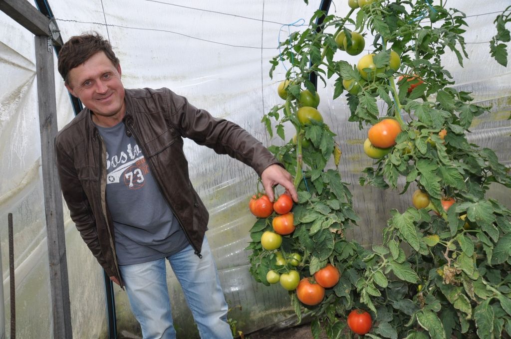 Uzglabāšanas problēmu atrisina, dārzeņus pārstrādājot