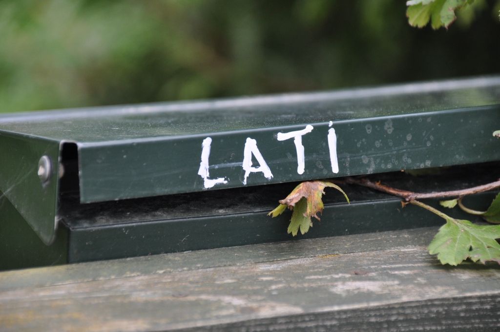 Krotē pašiem savs naudas, kalnu un alus ciems
