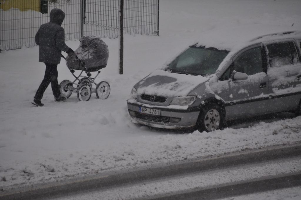 FOTO: Mārtiņos prognozē salu; kokos vēl lapas