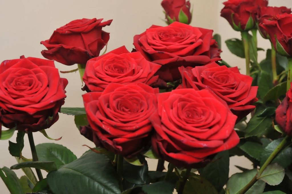 Liepājā godinās 2016. gada Ministru kabineta balvas laureātus