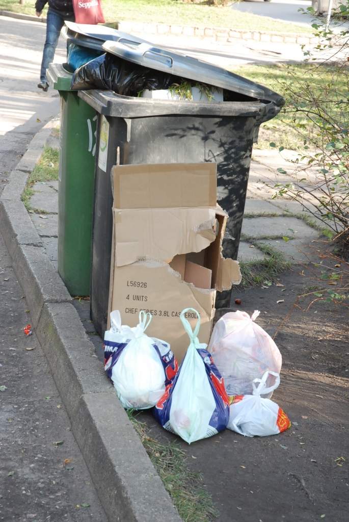 Nīcā ugunsdzēsēji steidz nodzēst degošus atkritumus