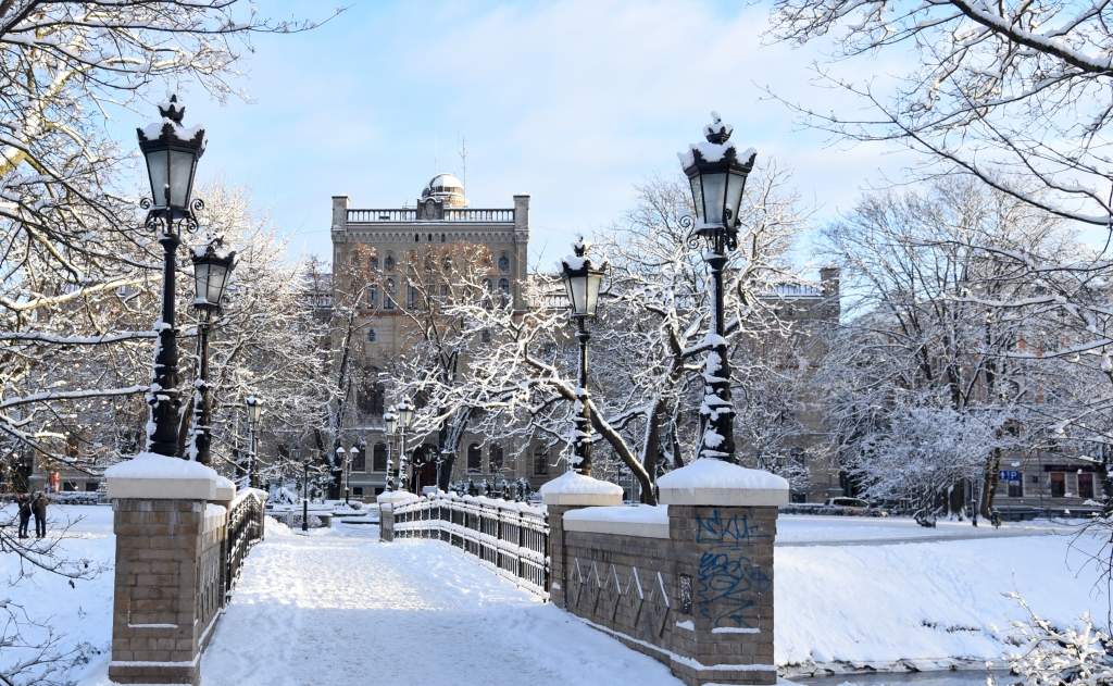 RPIVA: Izglītības ministrija tracina studentus