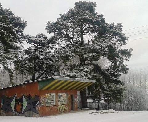 Kafejnīca "Dzintariņš": "Ir sākusies Dzintariņa atdzimšana!"