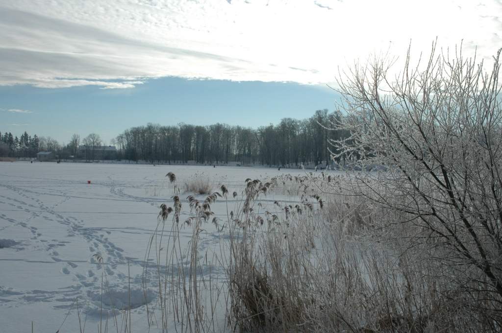 Braucot pa aizsalušu ūdenstilpni ar auto, var nākties samaksāt sodu līdz 1000 eiro