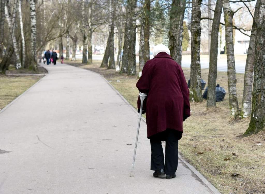 Eksperta viedoklis: Apmēram 25 eiro par vienu sistēmas dalībnieku