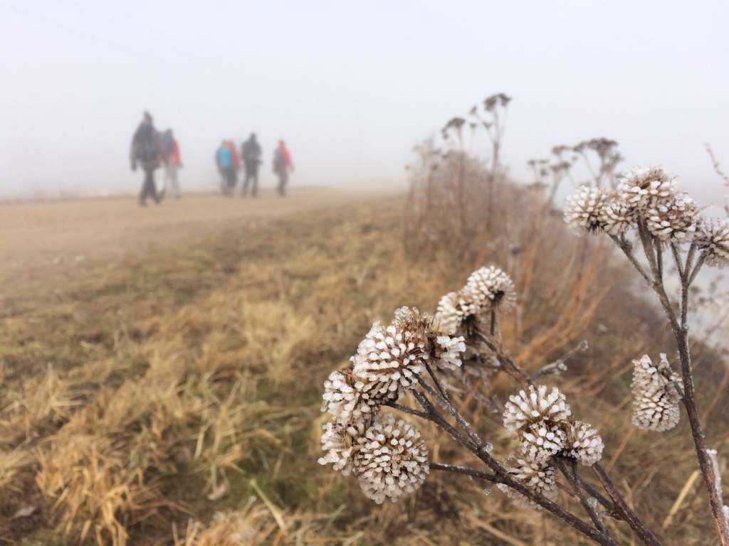 Aicina doties pārgājienā pa Kurzemi un sajust pavasara sākumu
