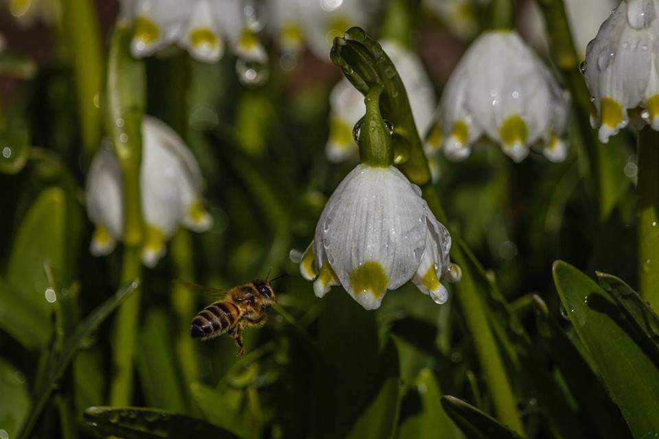 Folkloras centrā ''Namīns'' notiks saruna par tautas tradīcijām