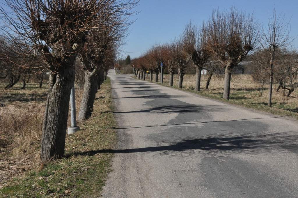 Brīvības iela Aizputē vijas tālāk par citām