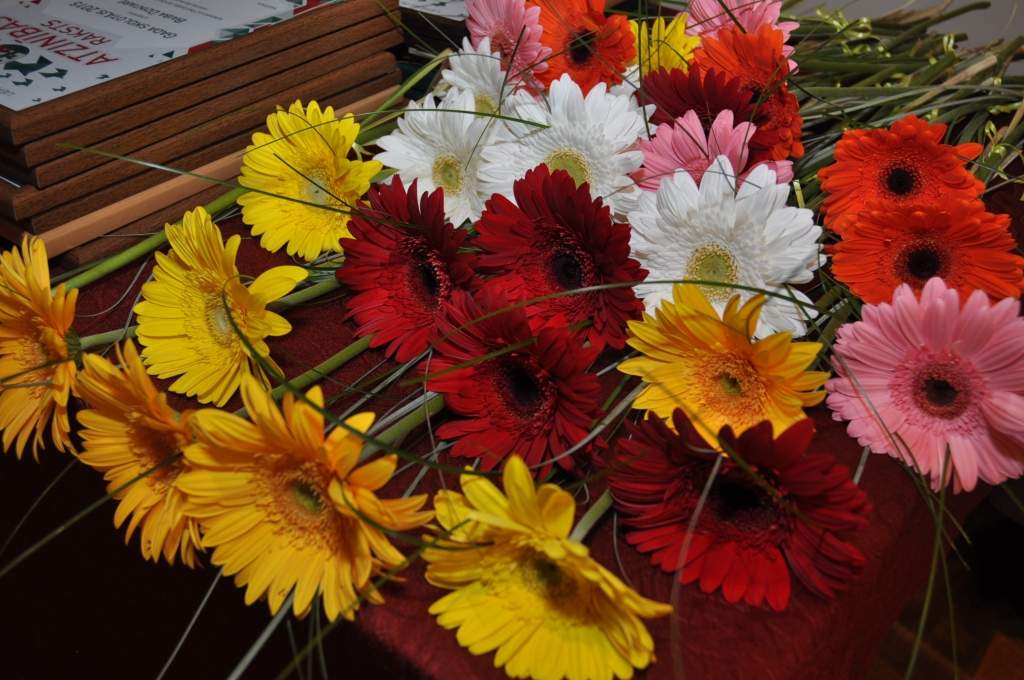 Liepājniece Linda Vilka saņems Kultūras ministrijas izcilības apbalvojumu