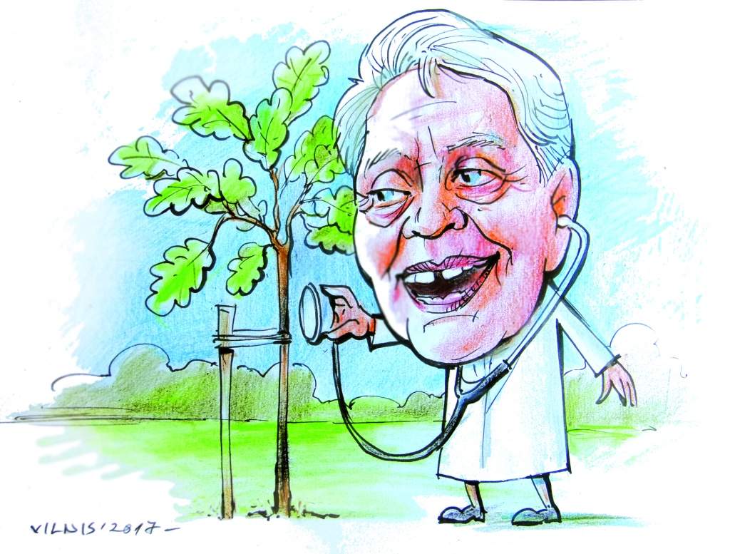 Karikatūra