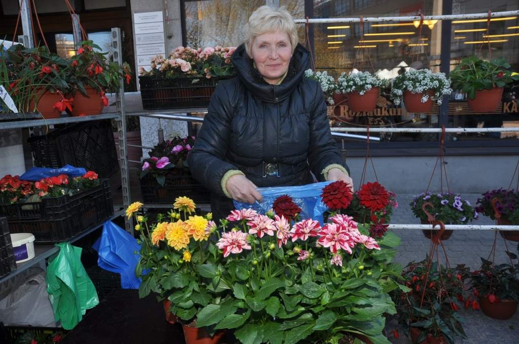 Stādu audzētāju un dārzkopju paradīze