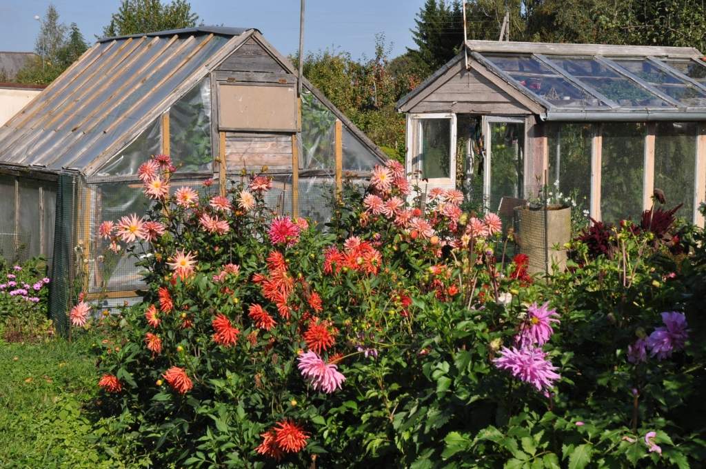 Meklē Latvijas skaistākās lauku saimniecības