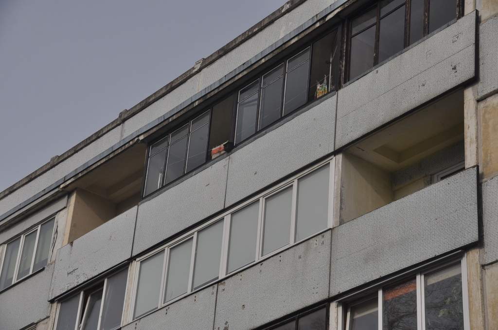 Iedzīvotāji sāk karu pret kaijām