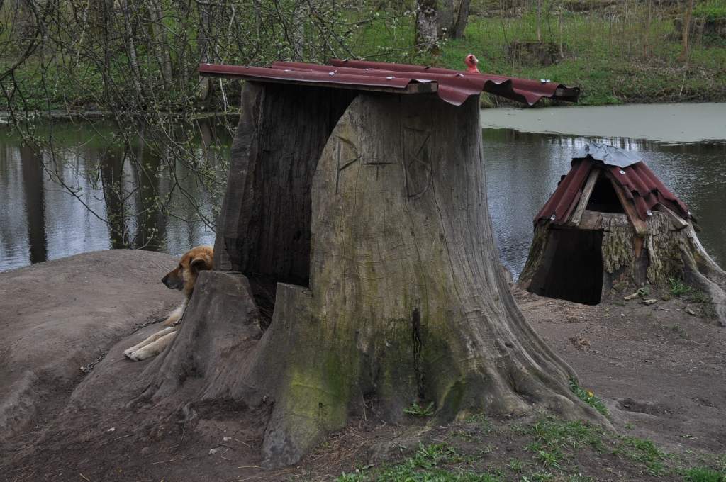 Ekomāja sunim