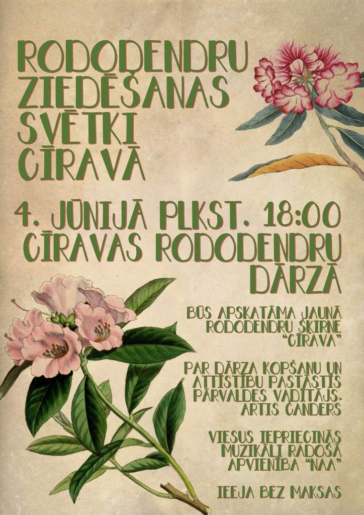 Cīravā rīko rododendru ziedēšanas svētkus