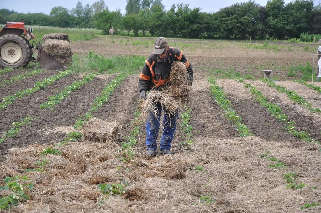 “Garšīgs darbs” ar pūļu piedevu