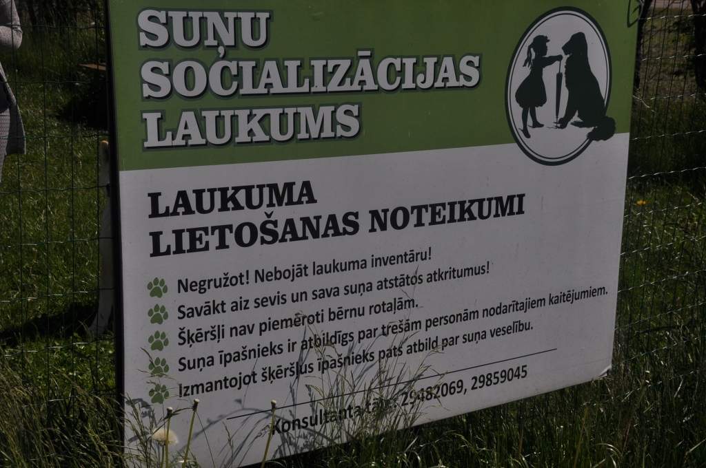 Uz skolu kopā ar suni
