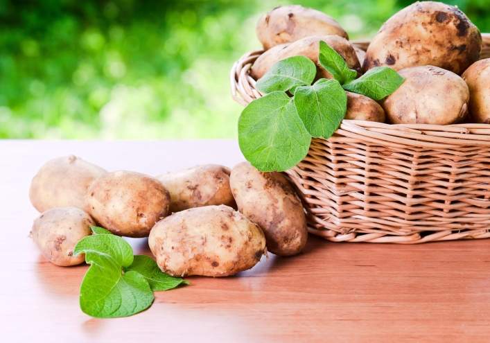 Liepājas Kungu kvartālā notiks ''Kartupeļu balle''