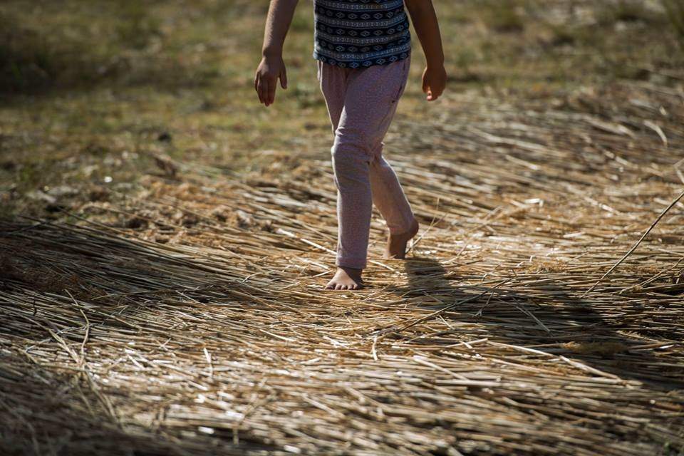 FOTO: Beberliņos darbu uzsākusi baskāju taka