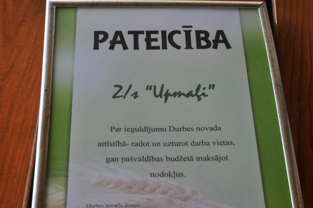 Zemenes audzēt atmaksājas vairumā